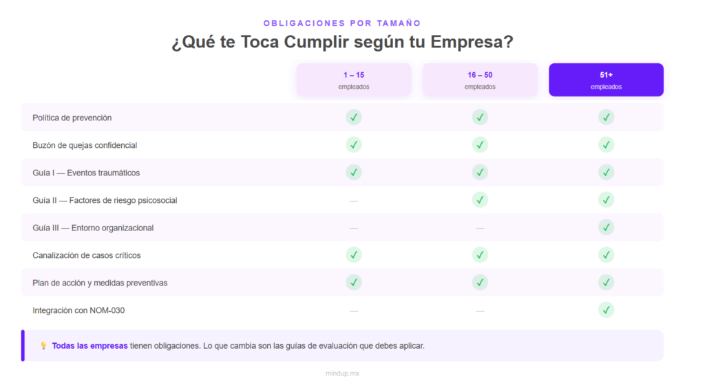 obligaciones nom 035 por tamaño de empresa