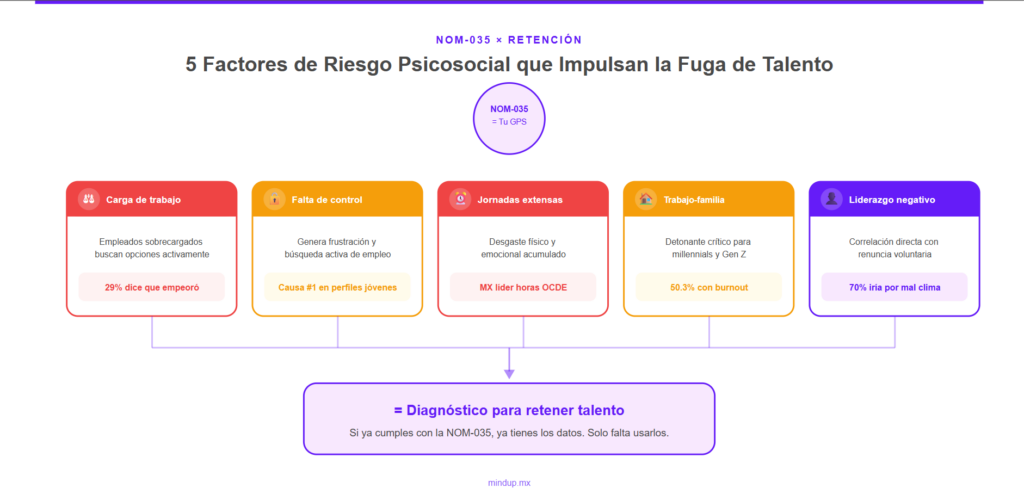 nom 035 rotacion de personal factores que la impulsan