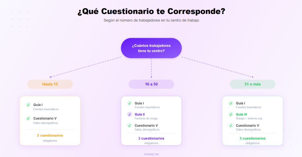 cuales son los cuestionarios nom 035