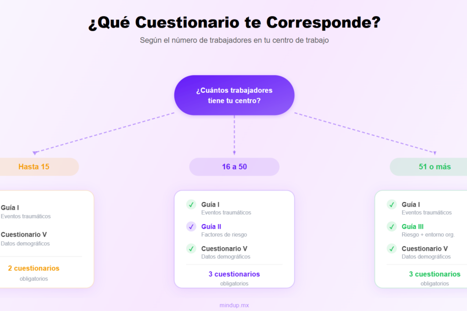 cuestionarios nom 035 cuales son
