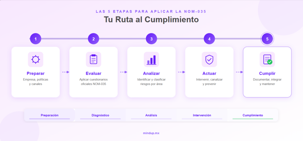 etapas para cumplir la nom 035