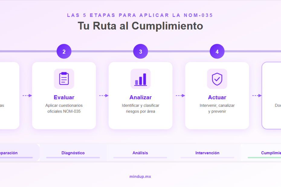 etapas para cumplir la nom 035